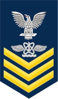 Navy Gold E-6 Aviation Warfare Technician AW Decal Sticker