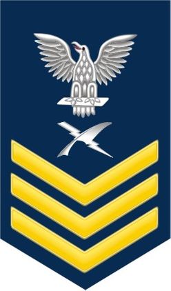 Navy Gold E-6 Cryptographic Technician CT Decal Sticker