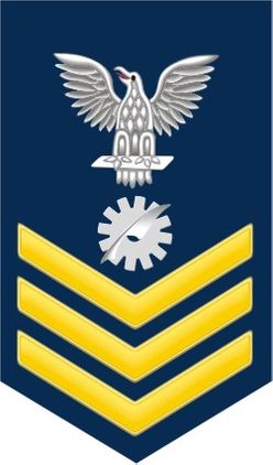 Navy Gold E-6 Data Processing Technician DP Decal Sticker