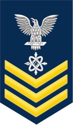 Navy Gold E-6 Data Systems Technician DS Decal Sticker