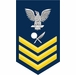 Navy Gold E-6 Intelligence Specialist IS Decal Sticker