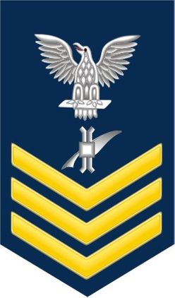 Navy Gold E-6 Legalman LN Decal Sticker