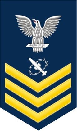 Navy Gold E-6 Missile Technician MT Decal Sticker