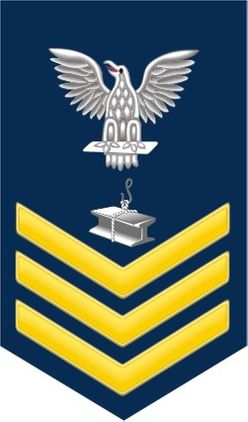 Navy Gold E-6 Steelworkers SW Decal Sticker