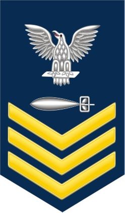 Navy Gold E-6 Torpedoman's Mate TM Decal Sticker