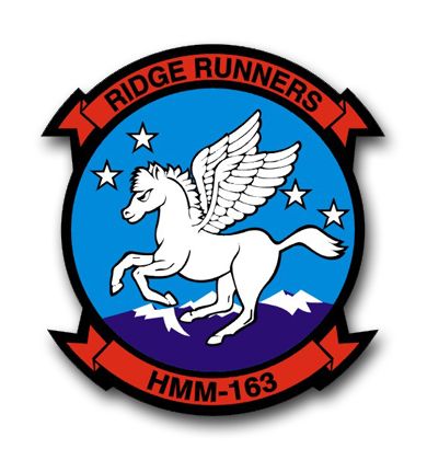 Navy HMM-163 Squadron Vinyl Transfer Decal