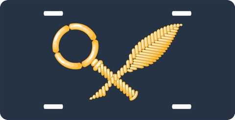 Navy Intelligence Technician License Plate