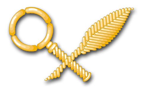 Navy Intelligence Technician Vinyl Transfer Decal