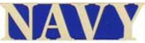 Navy Lapel Pin