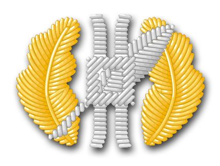 Navy Law Community Vinyl Transfer Decal