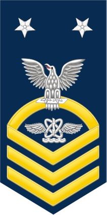Navy Master Chief Gold E-9 Aviation Warfare Technician AW Decal Sticker