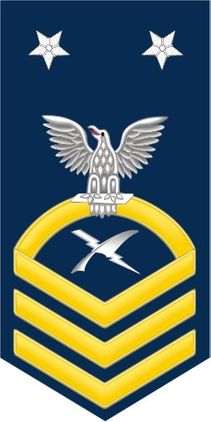 Navy Master Chief Gold E-9 Cryptographic Technician CT Decal Sticker