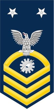 Navy Master Chief Gold E-9 Data Processing Technician DP Decal Sticker