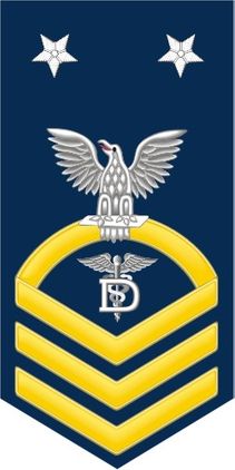 Navy Master Chief Gold E-9 Dental Technician DT Decal Sticker