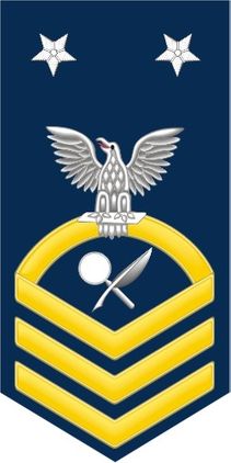 Navy Master Chief Gold E-9 Intelligence Specialist IS Decal Sticker