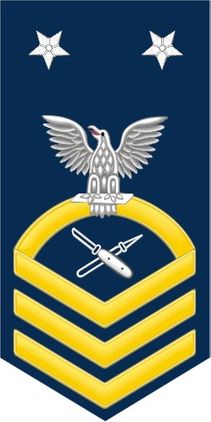 Navy Master Chief Gold E-9 Lithographer LT Decal Sticker