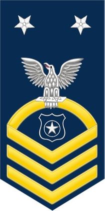 Navy Master Chief Gold E-9 Master At Arms MA Decal Sticker