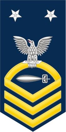 Navy Master Chief Gold E-9 Torpedoman's Mate TM Decal Sticker
