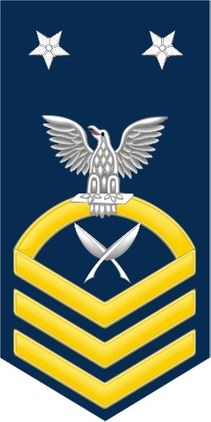 Navy Master Chief Gold E-9 Yeoman YN Decal Sticker