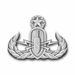 Navy Master Explosive Ordnance Disposal Vinyl Transfer Decal