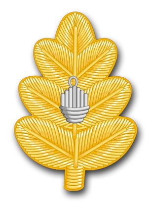 Navy Medical Corps Oak Leaf Vinyl Transfer Decal