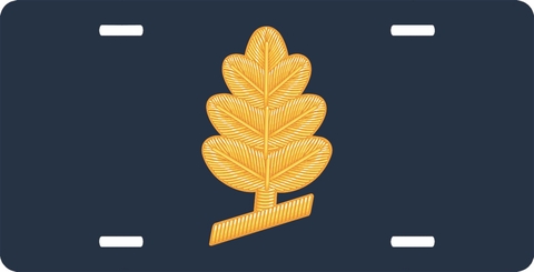 Navy Medical Service Corps License Plate