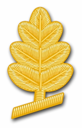 Navy Medical Service Corps Vinyl Transfer Decal