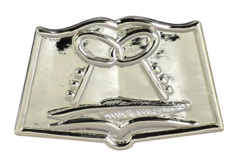 NAVY MESS MANAGEMENT SPECIALIST ( MS ) BALL CAP PIN