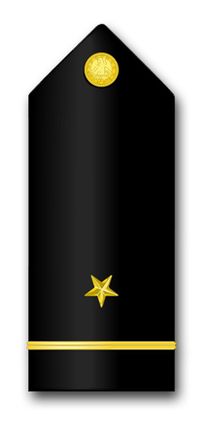 Navy Midshipman-Ensign Vinyl Transfer Decal