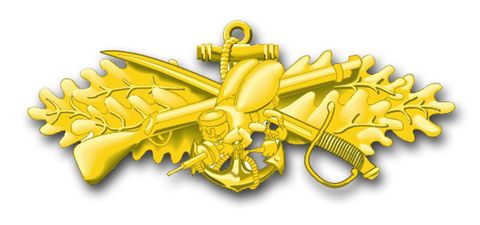 Navy New Sea Bee Vinyl Transfer Decal