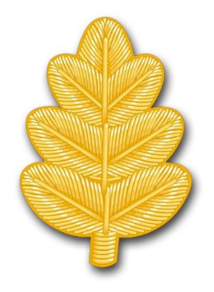 Navy Nurse Corps Vinyl Transfer Decal