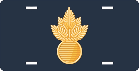 Navy Ordnance Technician License Plate
