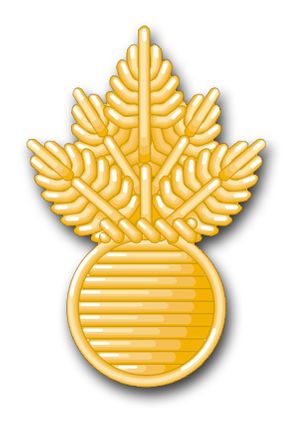 Navy Ordnance Technician Vinyl Transfer Decal