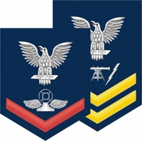 Navy Rank Insignias with Rates Thumbnail Illustration