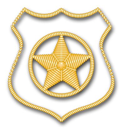 Navy Security Technician Vinyl Transfer Decal