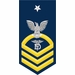 Navy Senior Chief Gold E-8 Dental Technician DT Decal Sticker