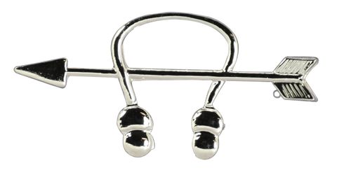 NAVY SONAR TECHNICIAN ( ST )  BALL CAP PIN