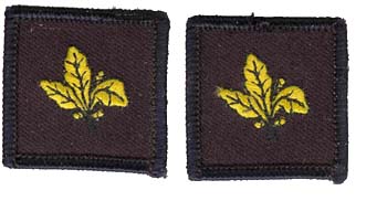 Navy Supply Corps Collar Device (pair) Patch