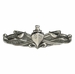 Navy Surface Warfare Enlisted Badge Oxidized Finish