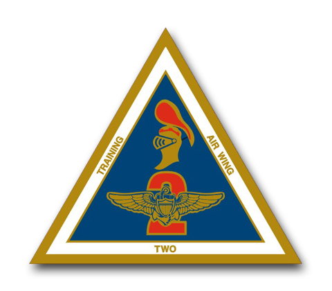Navy Training Air Wing Two Squadron Vinyl Transfer Decal