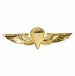 Navy / U.S.M.C. Parachutist Badge