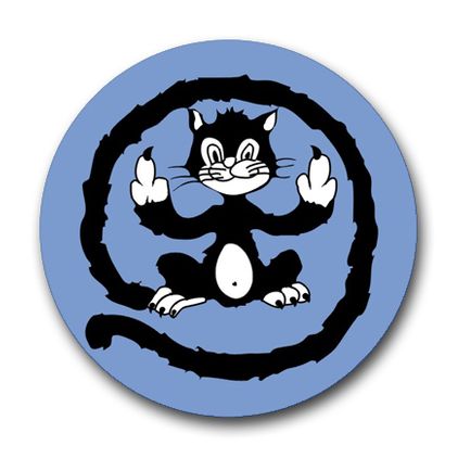 Navy VC-13 Squadron Vinyl Transfer Decal