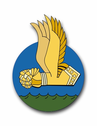 Navy VPB-131 Squadron Transfer Decal