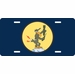 Navy VPB-143 Squadron License Plate