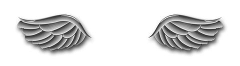 Navy Wings Vinyl Transfer Decal