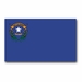 Nevada State Flag Vinyl Transfer Decal