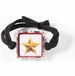 Never Forgotten Gold Star Elastic Wristband