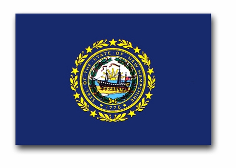 NEW HAMPSHIRE 3 x  5 NYLON  STATE  FLAG