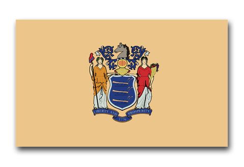 New Jersey State Flag Vinyl Transfer  Decal