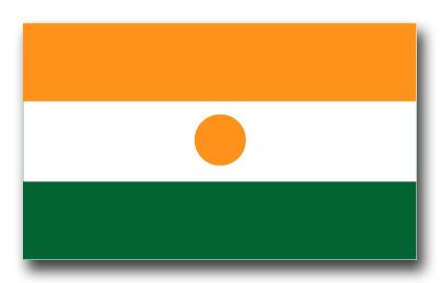 Niger Flag Vinyl Transfer Decal